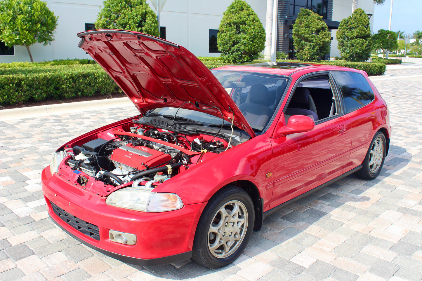 EG6 SIR
